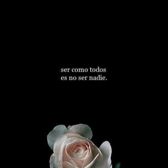 Meet your Posher, Rosita - Picture 1 of 1